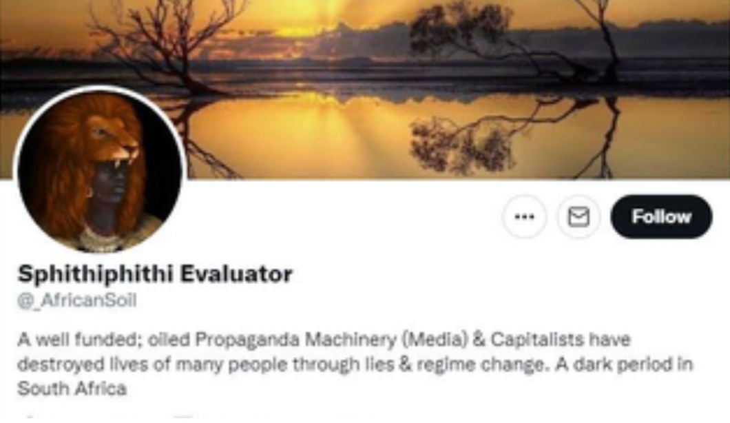 ’I did nothing wrong’: ‘Sphithiphiti Evaluator’ says police abused her because of her pro-Zuma views