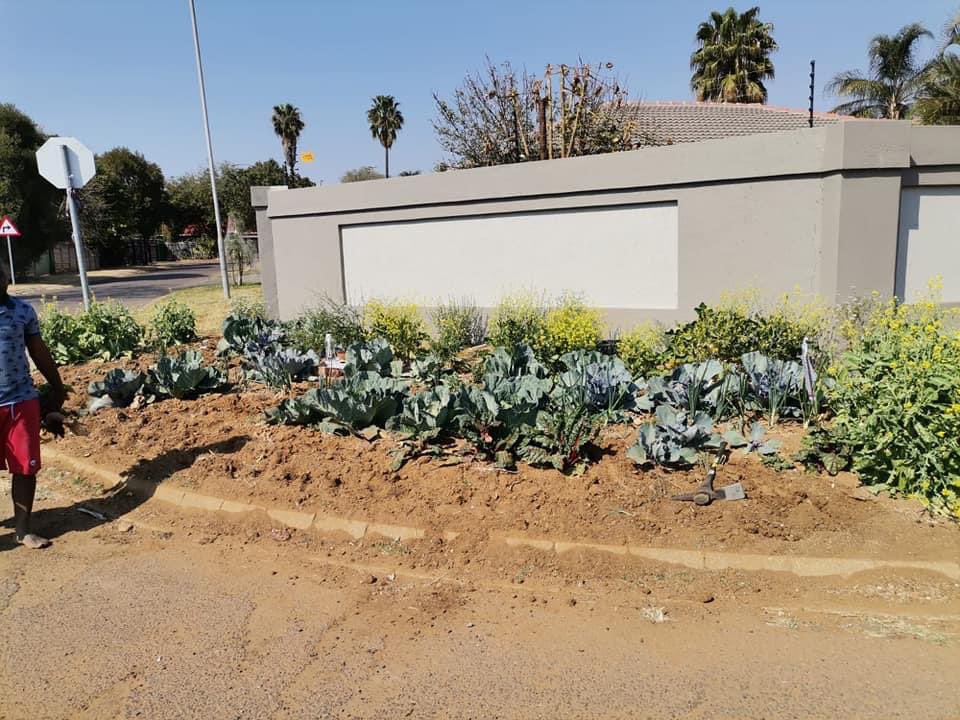 Tshwane resident faces fine for street garden