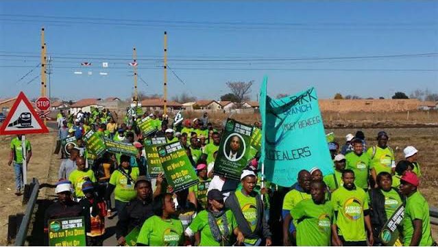 Patriotic Alliance to launch manifesto in Eldos