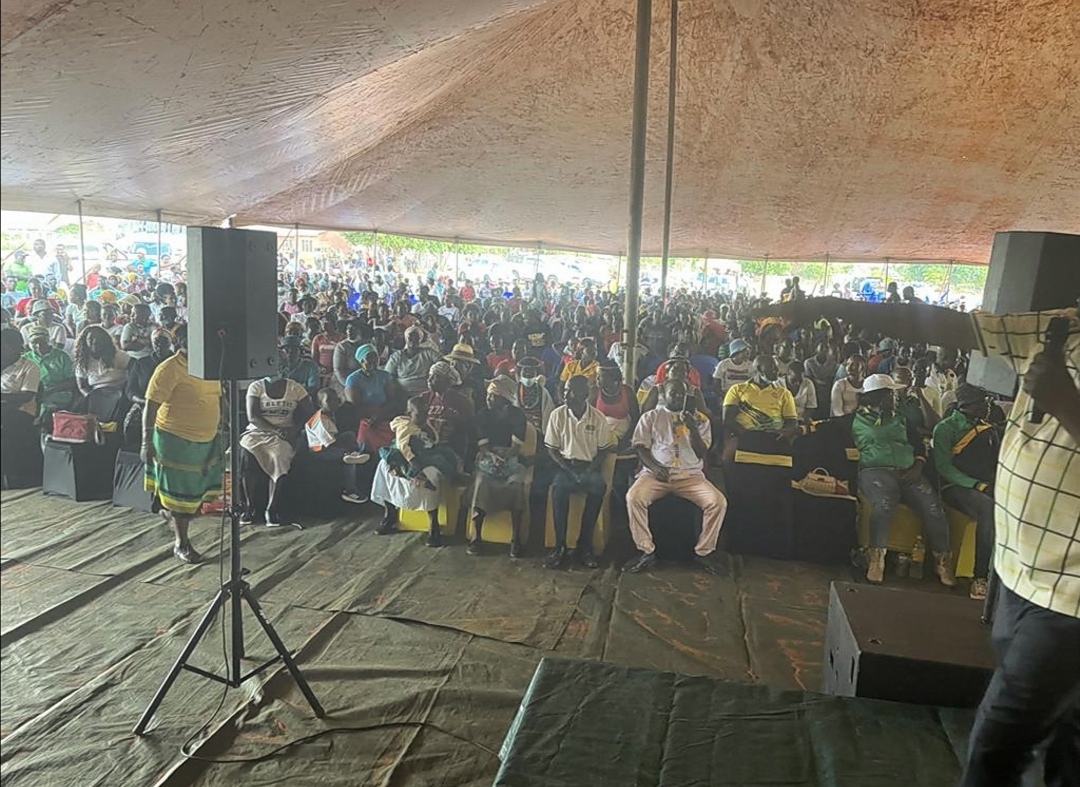 ANC Vhembe Region in Limpopo endorses Sisulu