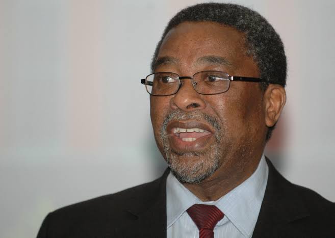 Ramaphosa is not a leader but a party agent, says political analyst Moeletsi Mbeki