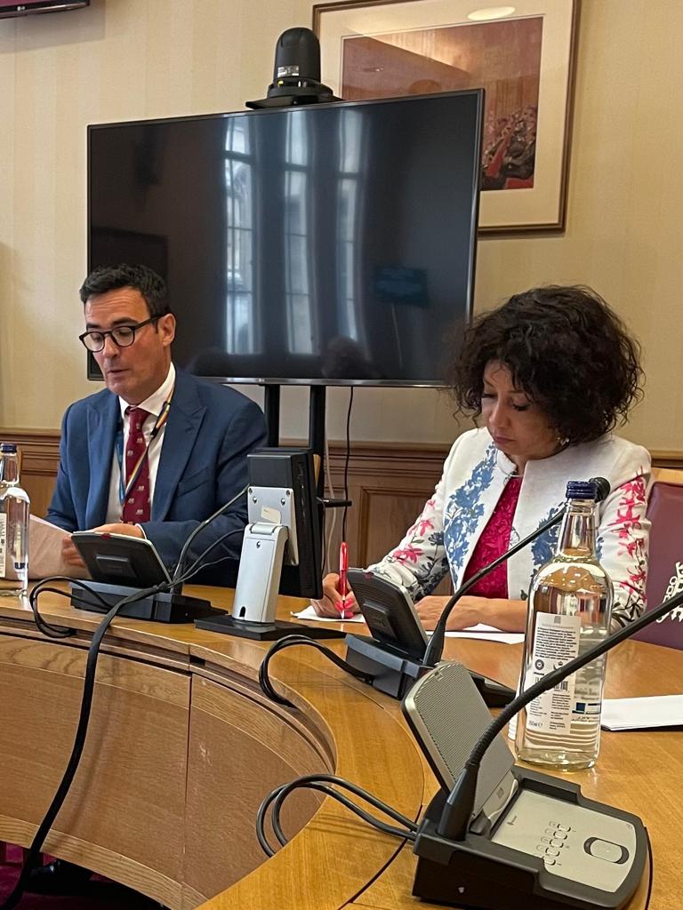 Minister Sisulu schools The House of The Lords in decolonisation