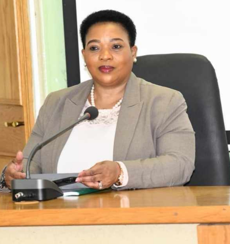 ANALYSIS: Will Nomusa Dube-Ncube the “Game Changer” make history this weekend?