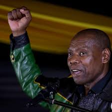 Limpopo and North West throw their weight behind Zweli Mkhize