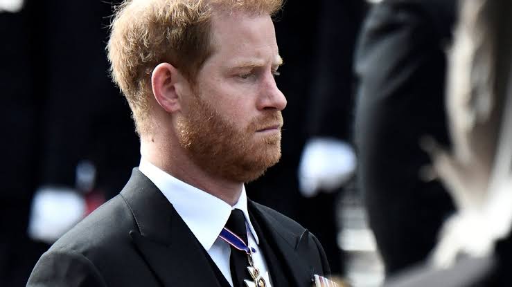 Prince Harry: ‘I want my father and brother back’