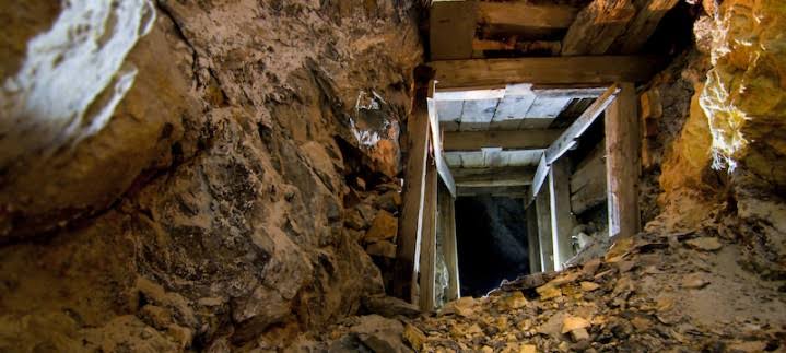 You can make roughly R20m a month – zama zamas gang boss