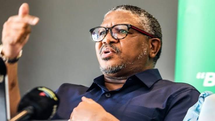 SA will become a failed state if government fails to fix load shedding and curb graft – but ANC won’t be ousted, says Fikile Mbalula